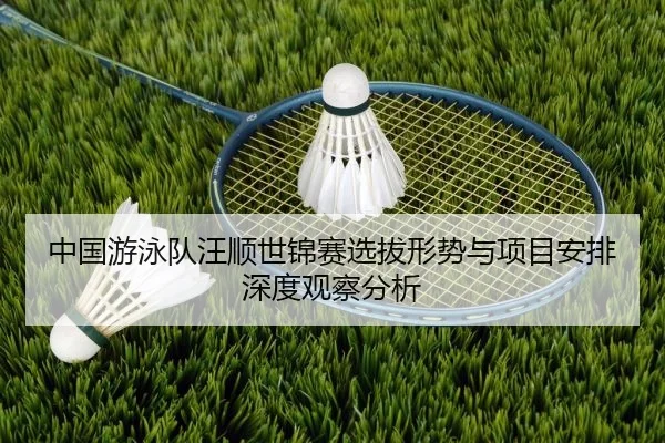 中国游泳队汪顺世锦赛选拔形势与项目安排深度观察分析